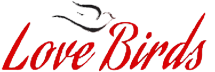 Love Bird Spicy Logo