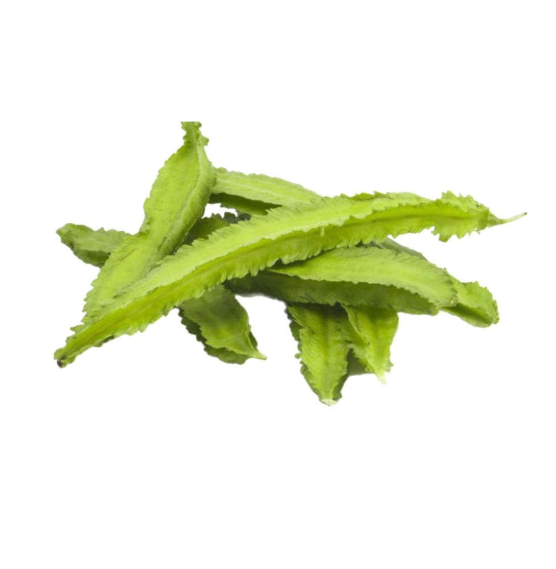 Winged Beans (දඹල) 250g